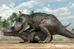 Динозавры секс фото